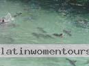 colombian-women-city-tour-48