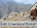 Machu-Picchu-021