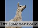 Machu-Picchu-026