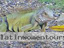 cartagena-women-other-1104-9